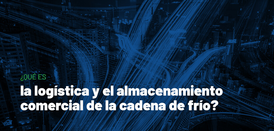 Innovadores Soluciones de Almacenamiento de Pescado Fresco